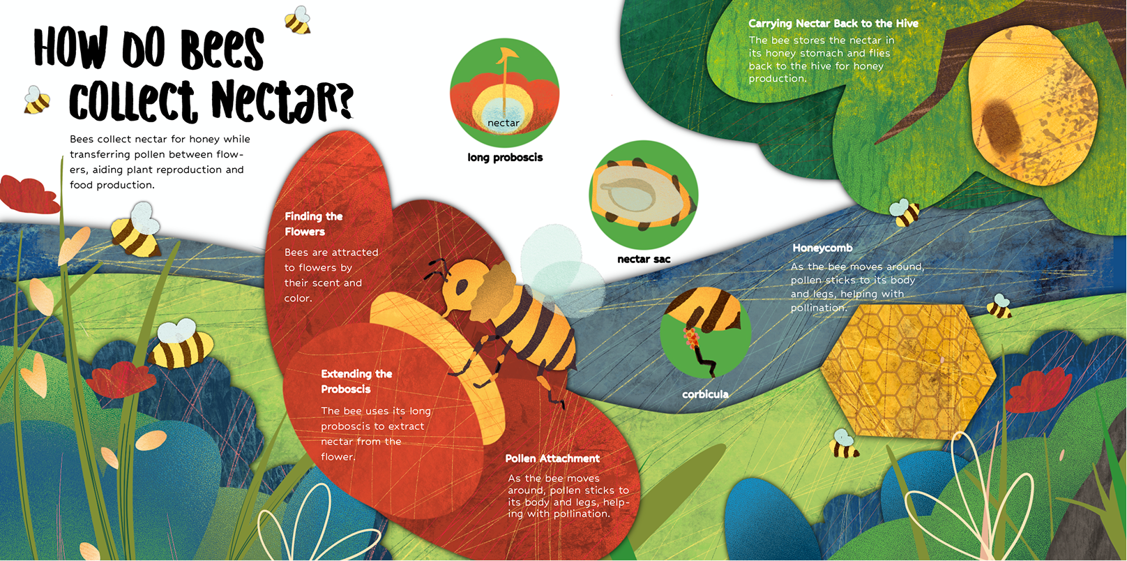 Education illustration